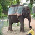 Mysore Palace (bangalore_100_1796.jpg) South India, Indische Halbinsel, Asien